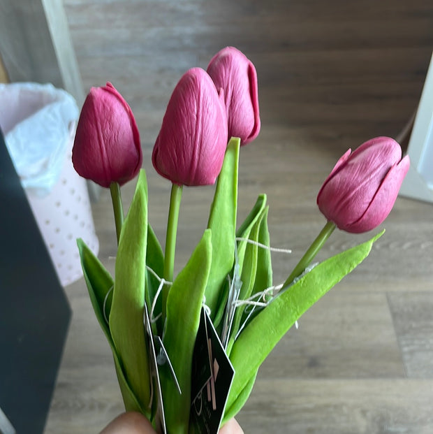 Pink tulips